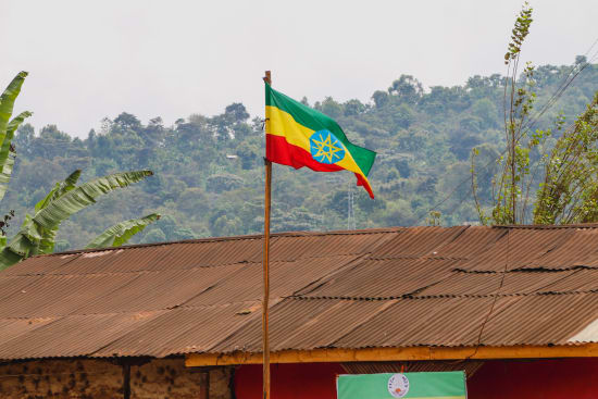 Ethiopia- Guji Natural - Light Roast