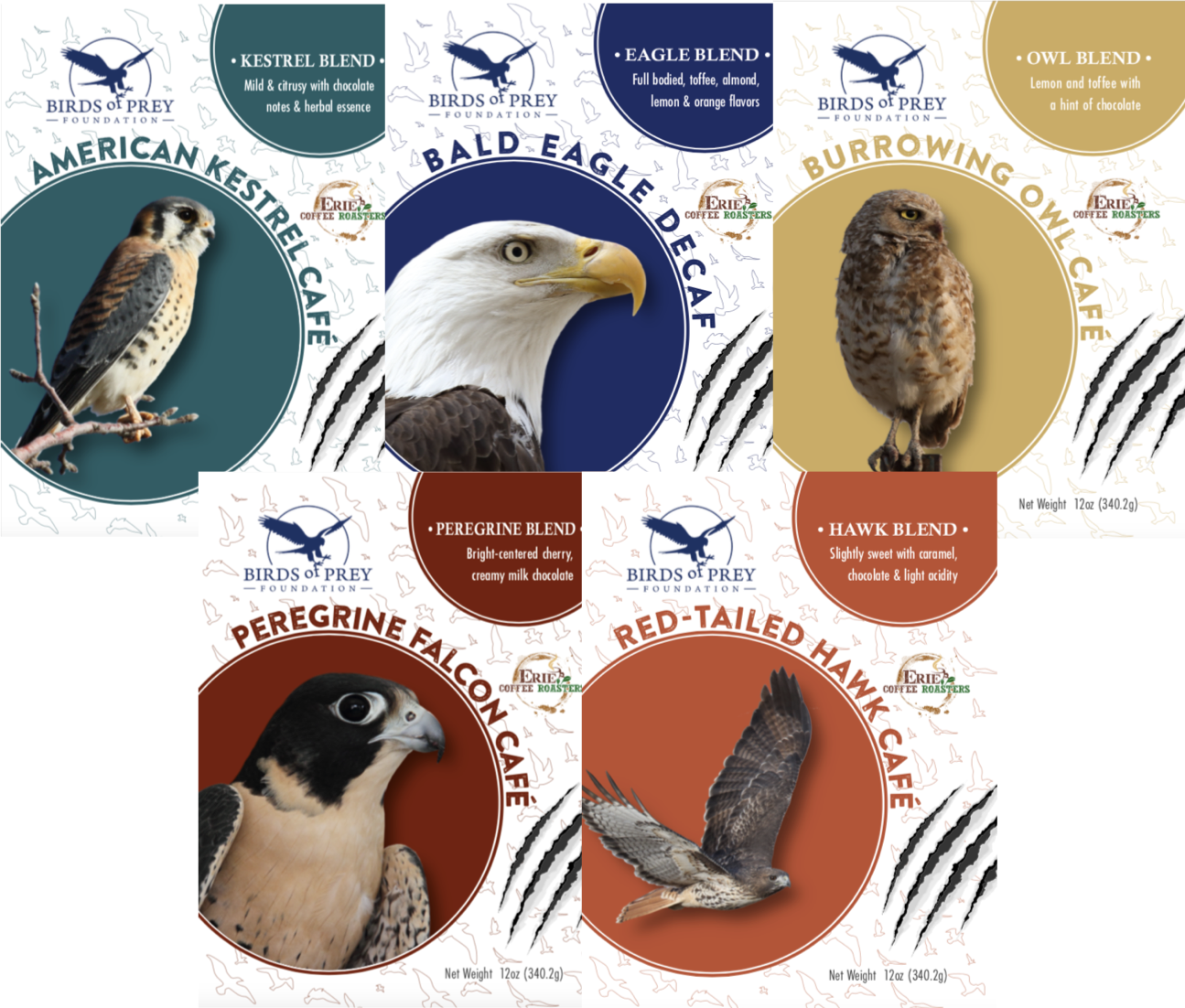 Identifying Birds Of Prey  Barrettine Environmental Health